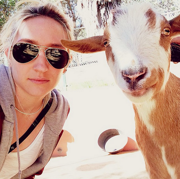 goat selfie