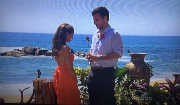 jade tanner proposal