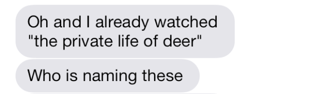private life of deer netflix