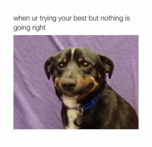 tumblr_nxufmym3qK1qjjc07o1_500