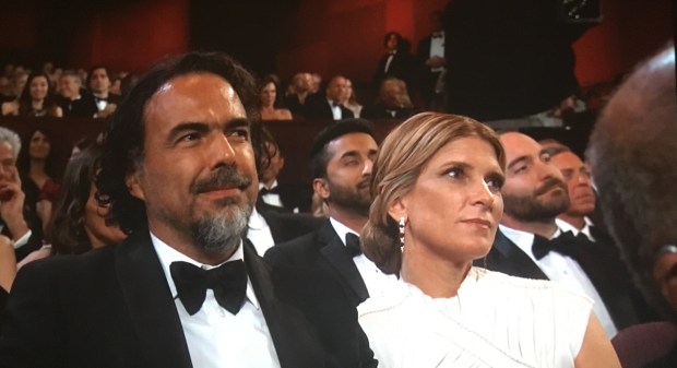 alejandro inarritu bear