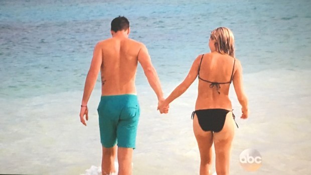 lauren b bikini bottoms