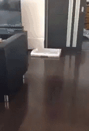 tumblr_o5vqmdUhIk1qzag1wo1_250