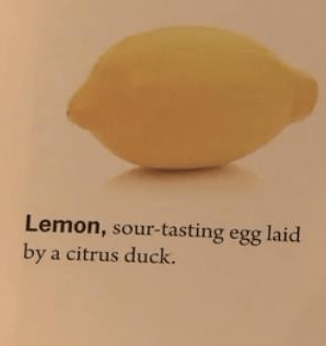 tumblr_mvry1zlshv1qarn5zo1_400