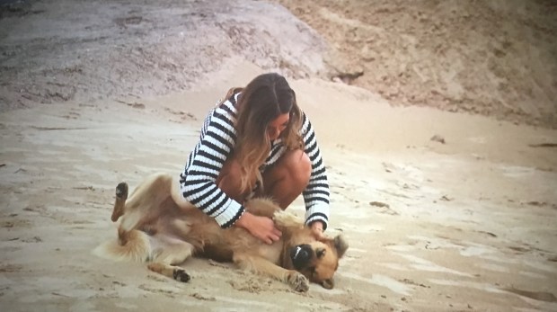 jojo dog bachelorette date