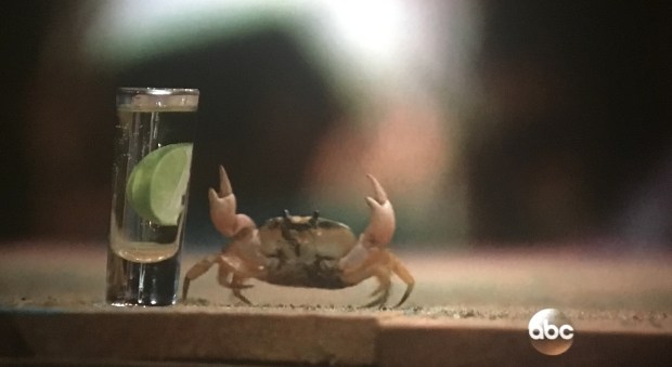 crab tequila