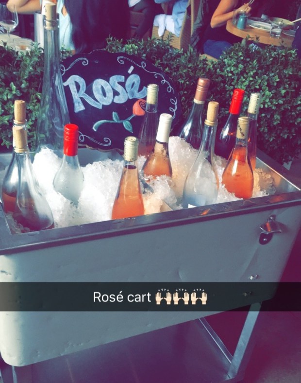 heaven on wheels rose cart