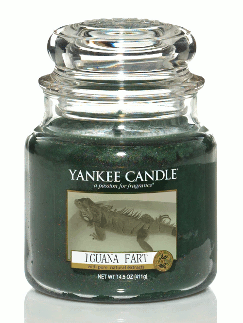 tumblr_oe4ga386og1re0c97o1_500