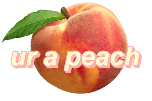 tumblr_o54znpccdl1uappnpo1_r1_500