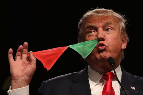 tumblr_oel786lwms1qz6f9yo2_500