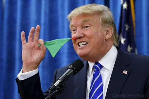 tumblr_oel786lwms1qz6f9yo3_500