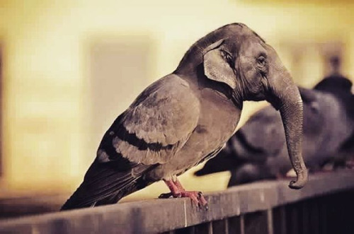 tumblr_ny5mds7rdp1toamj8o1_500