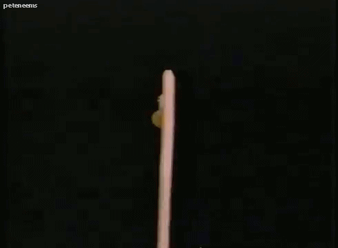 tumblr_ohdllwkp0h1ro8ysbo1_500