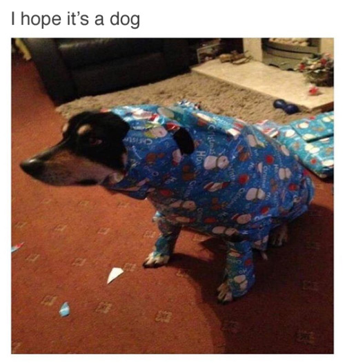 tumblr_oht5k2l1bb1rn7bzro1_500