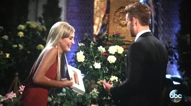 bachelor hot dog book wiener.JPG