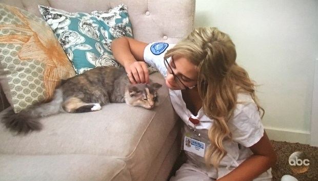 cat-nurse-bachelor-nick