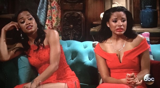 dolphinsuit-reaction