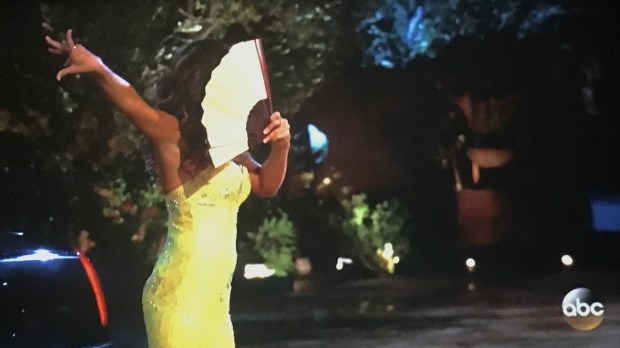 fan-girl-bachelor-nick