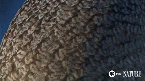 tumblr_oiie6bpurw1s3abbdo1_500