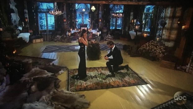 nick vanessa proposal