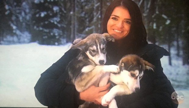 raven and puppies.JPG