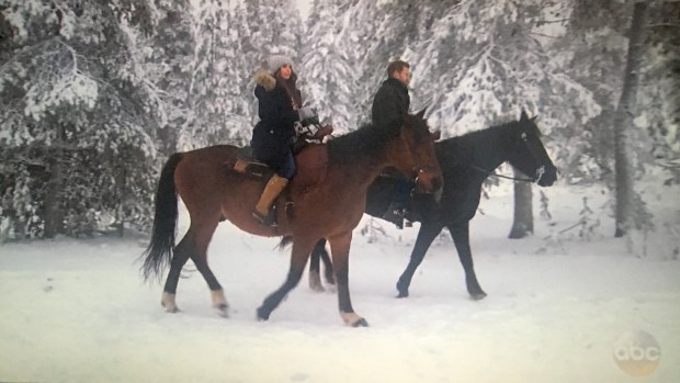 snow horsing bachelor