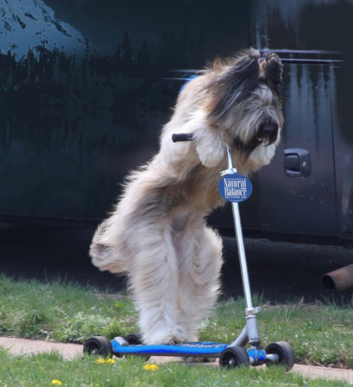 tumblr_oltaogjbvs1r0maa4o1_500