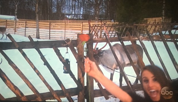 vanessa rose in finland.JPG