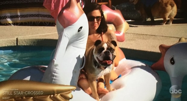 dog party bachelorette.JPG