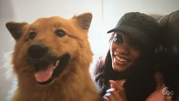 rachel's dog copper leg cast bachelorette.JPG