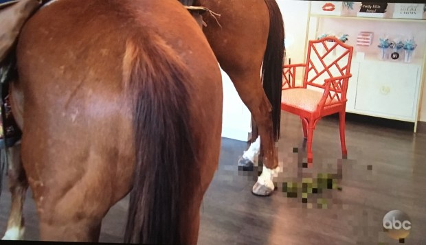 green horse poop bachelorette