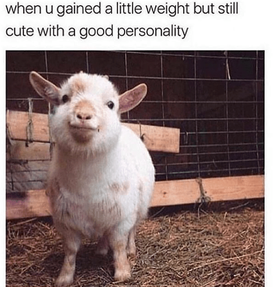 23658336_10155887856661952_4588686144480279873_n